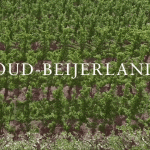 Drone over Oud-Beijerland