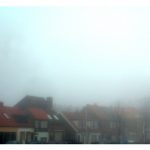 foggy_groot_03