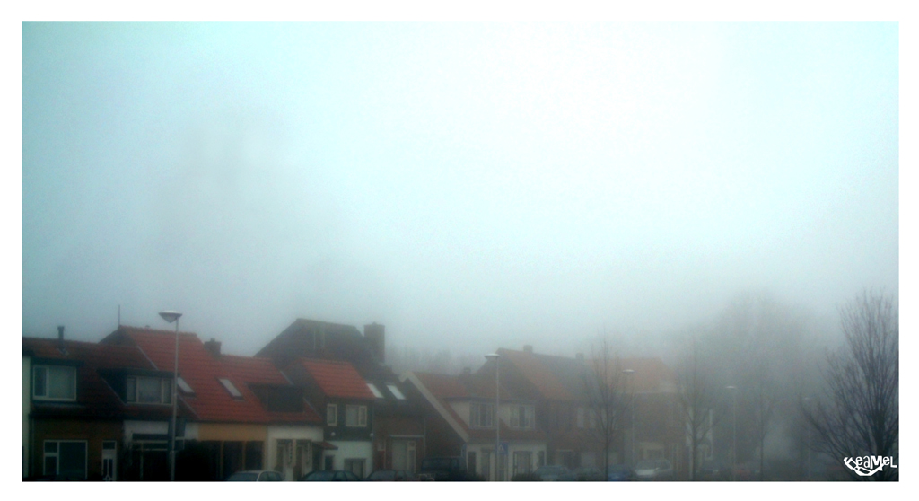 foggy_groot_03